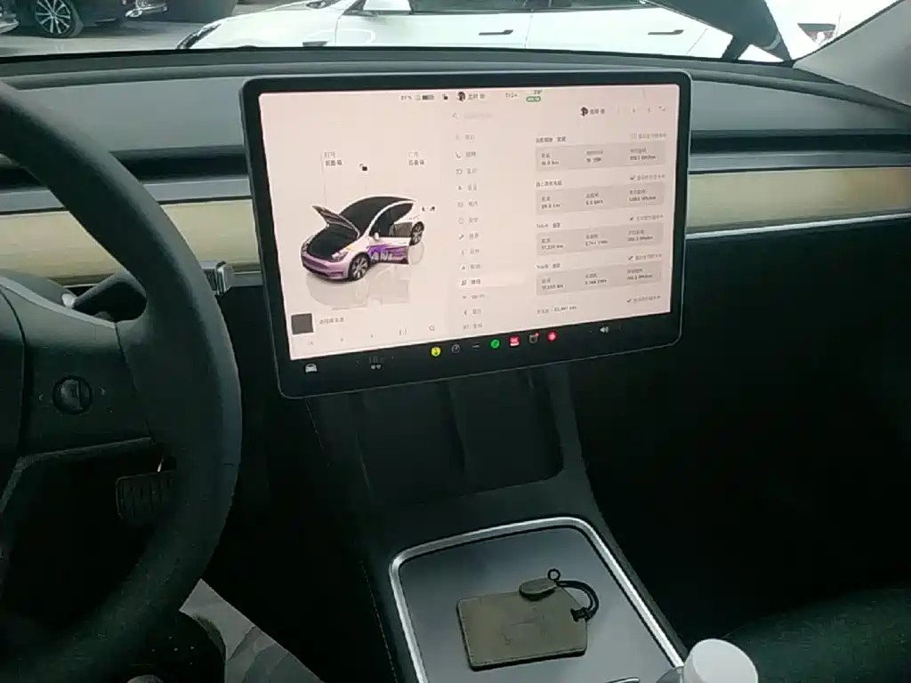 Tesla Model Y — миниатюра 13