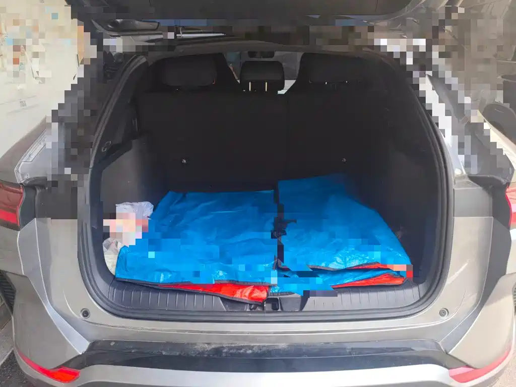 BYD PLUS New Energy — миниатюра 15
