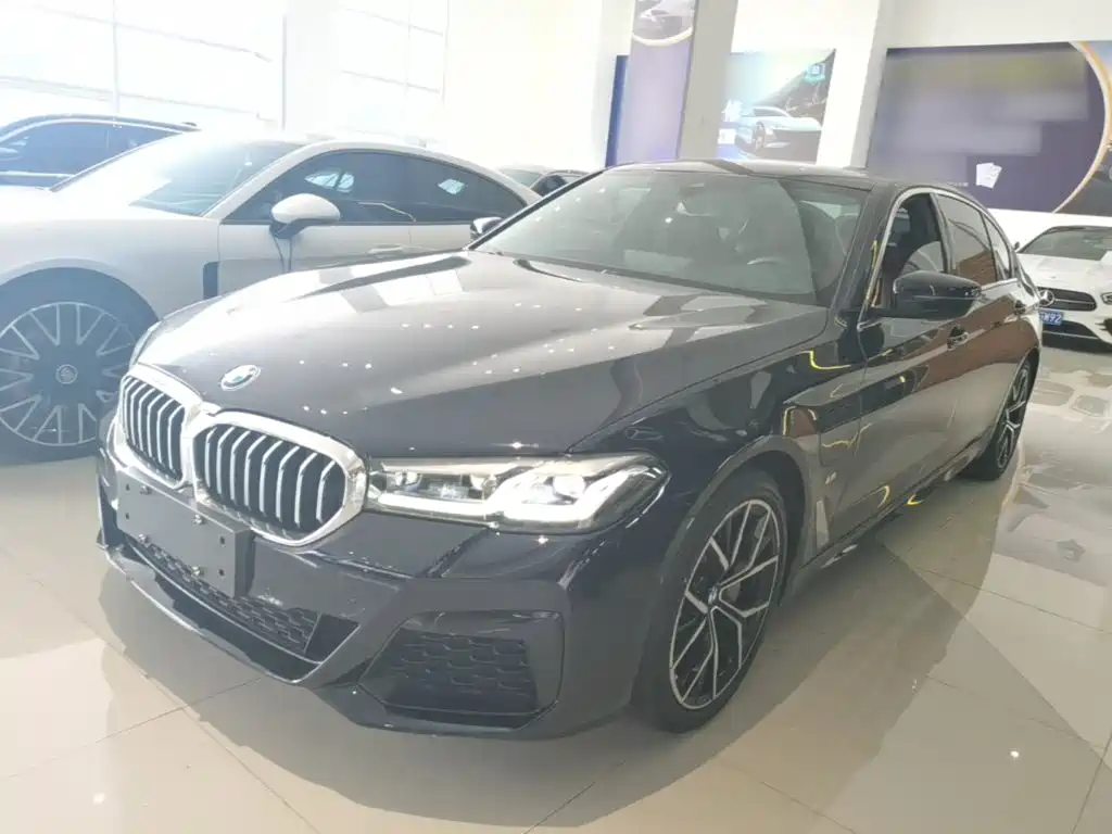BMW 5 Series New Energy — миниатюра 2