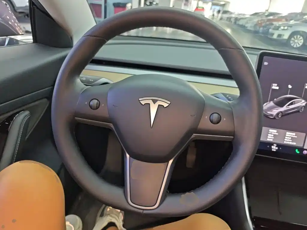 Tesla Model 3 — миниатюра 11