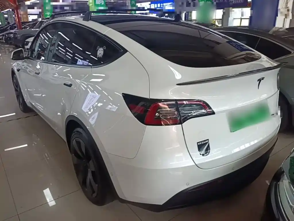 Tesla Model Y — миниатюра 5