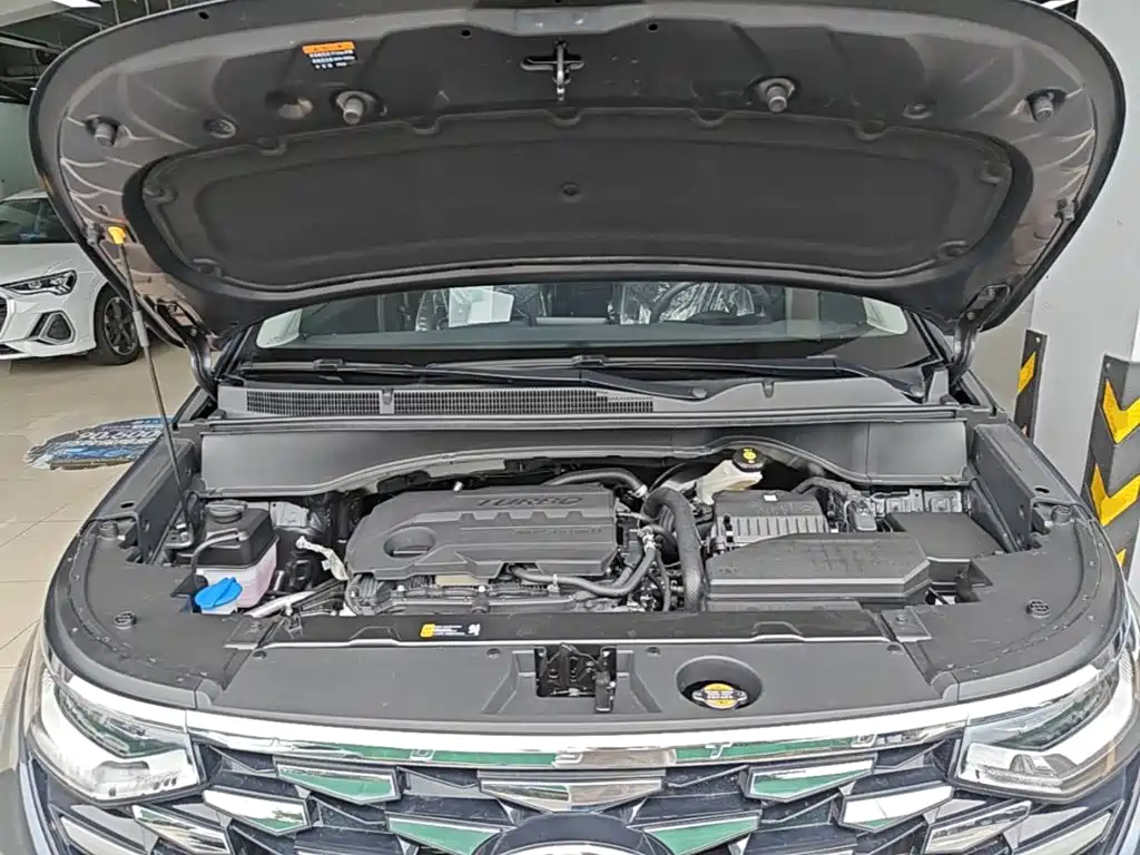 Hyundai Custo — миниатюра 20
