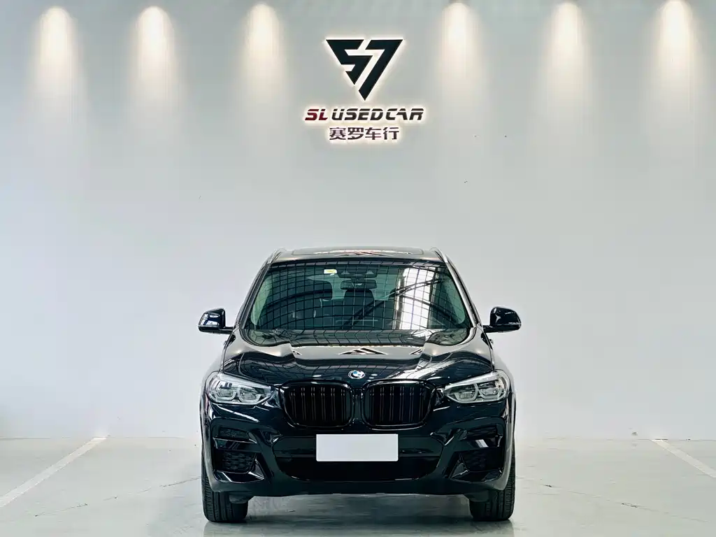 BMW X3 — миниатюра 2
