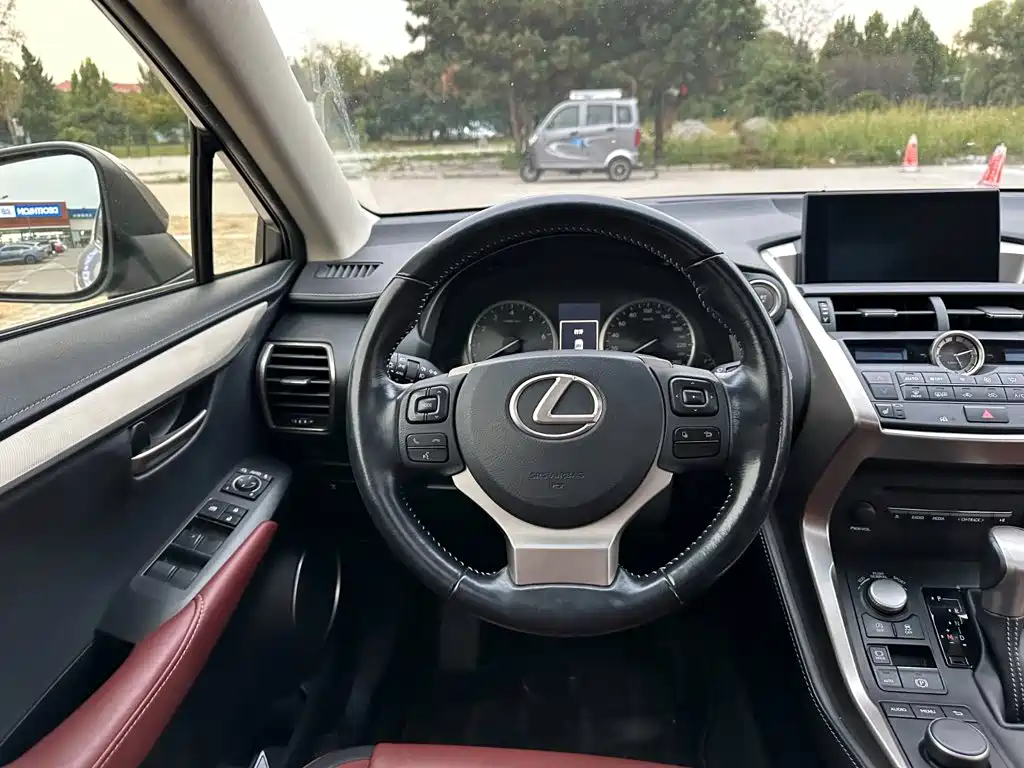 Lexus NX — миниатюра 21