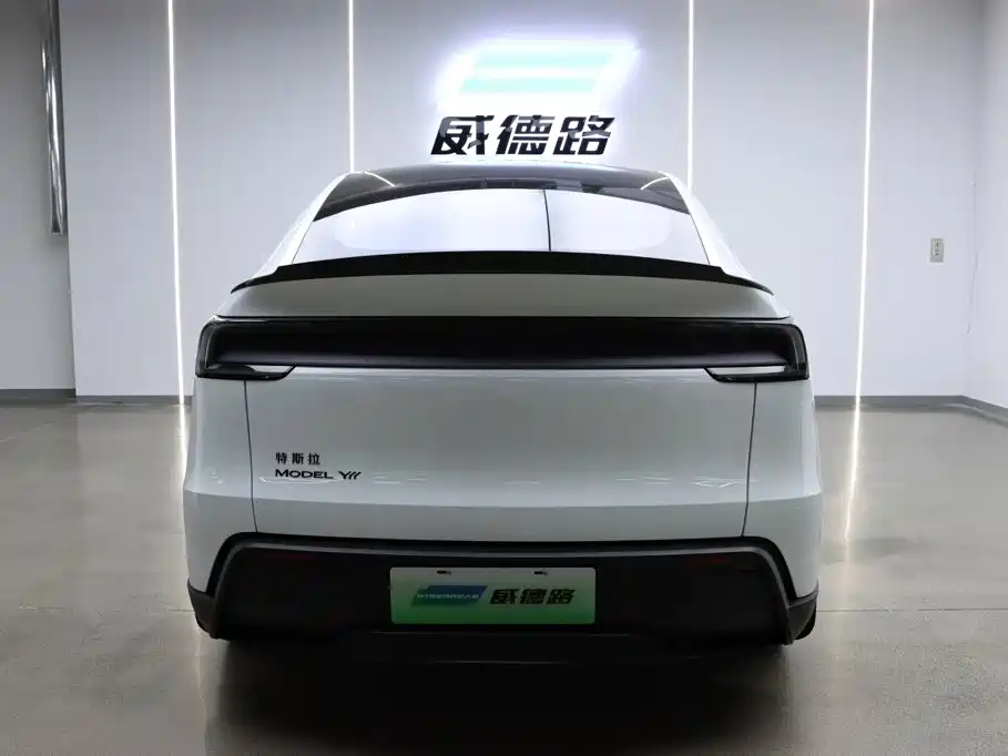 Tesla Model Y L — миниатюра 25