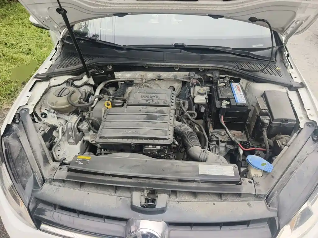 Volkswagen Golf — миниатюра 11