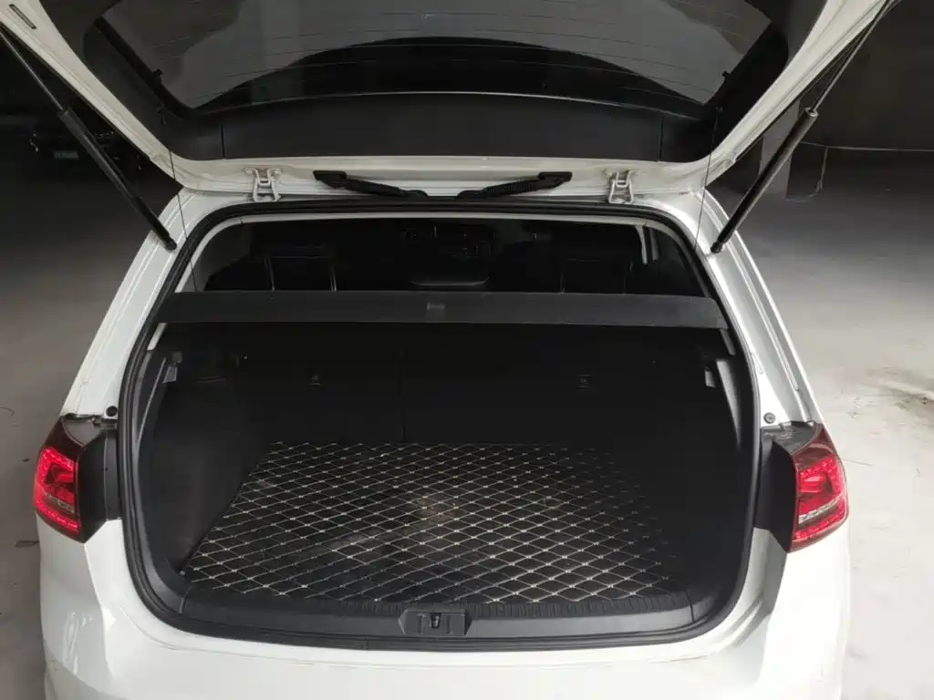 Volkswagen Golf — миниатюра 19
