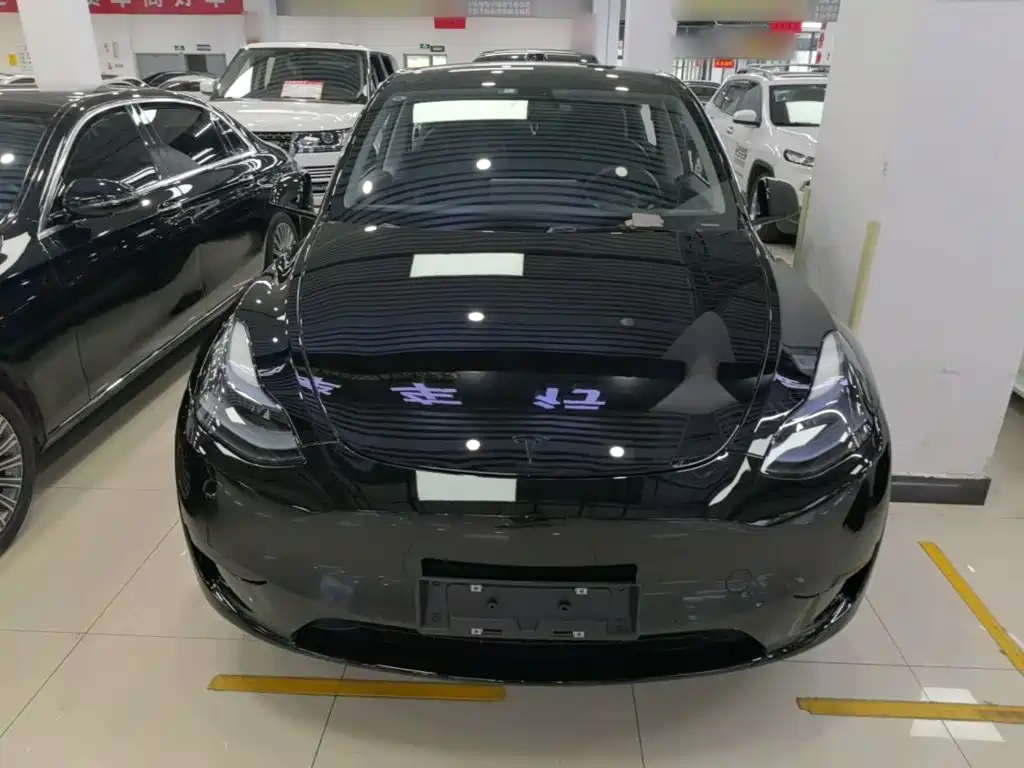 Tesla Model Y — миниатюра 3