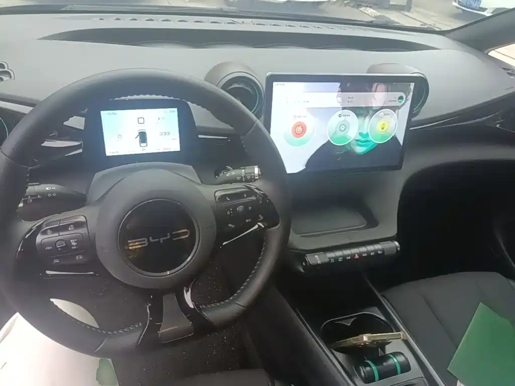 BYD Dolphin — миниатюра 10
