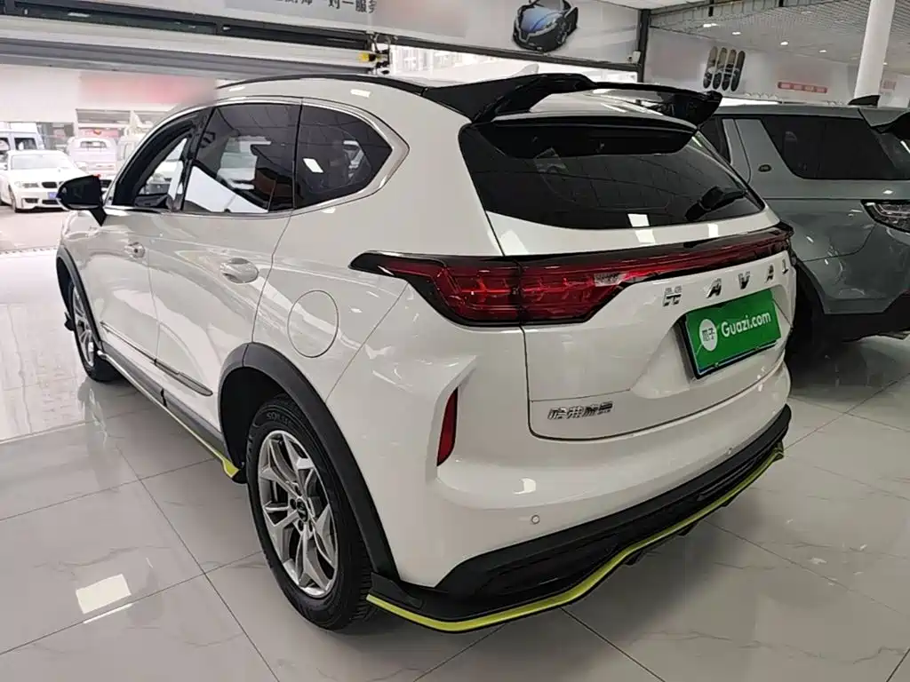 Haval Chitu — миниатюра 23