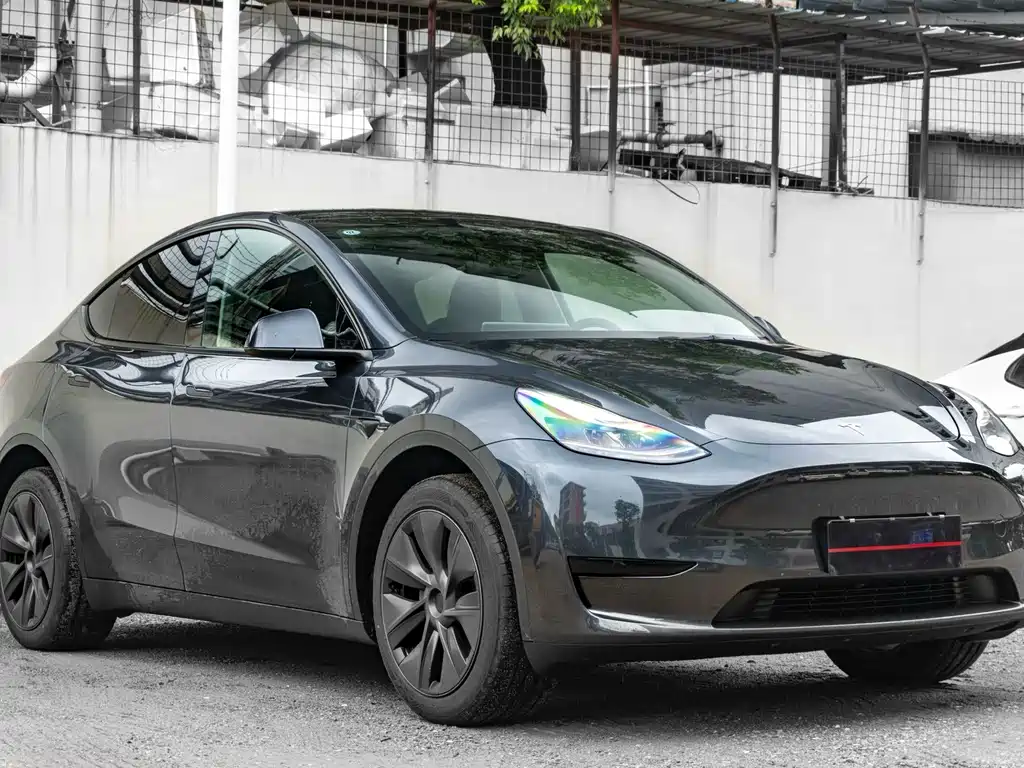 Tesla Model Y — миниатюра 2