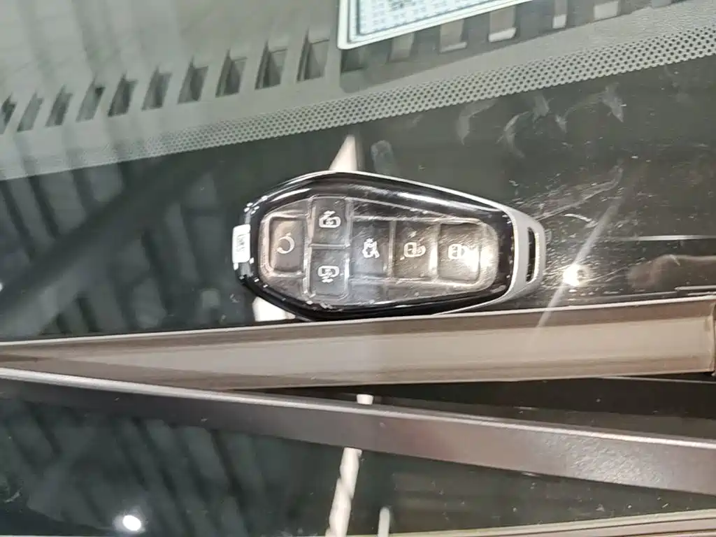 Denza Denza D9 — миниатюра 9