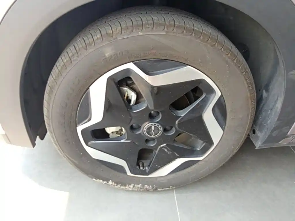BYD Dolphin — миниатюра 23