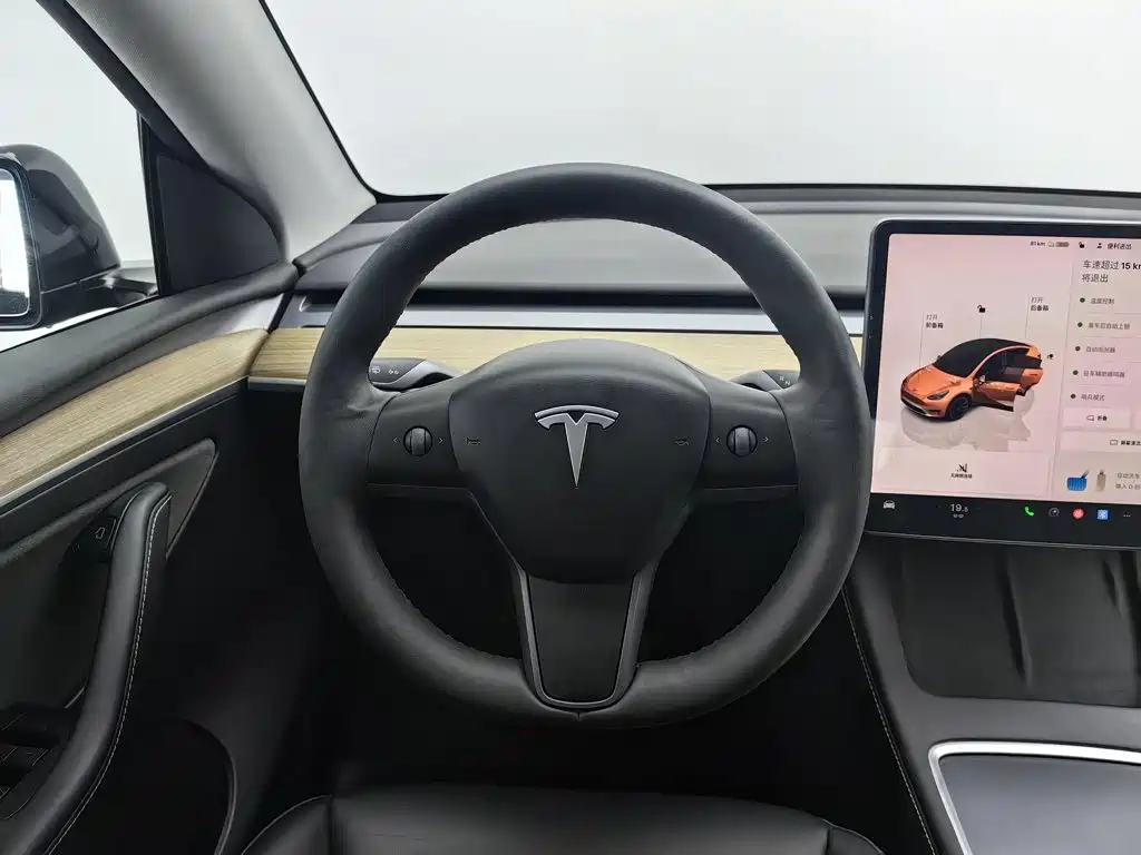 Tesla Model Y — миниатюра 11