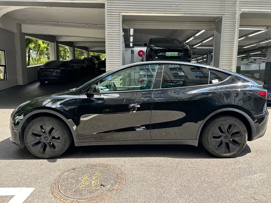 Tesla Model Y — миниатюра 5
