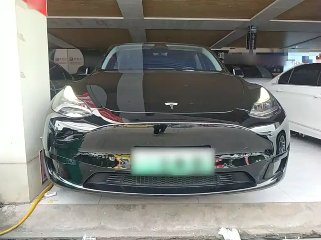 Tesla Model Y — миниатюра 3