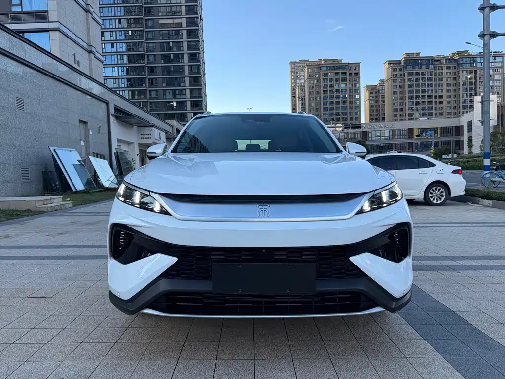 BYD Pro New Energy — миниатюра 2