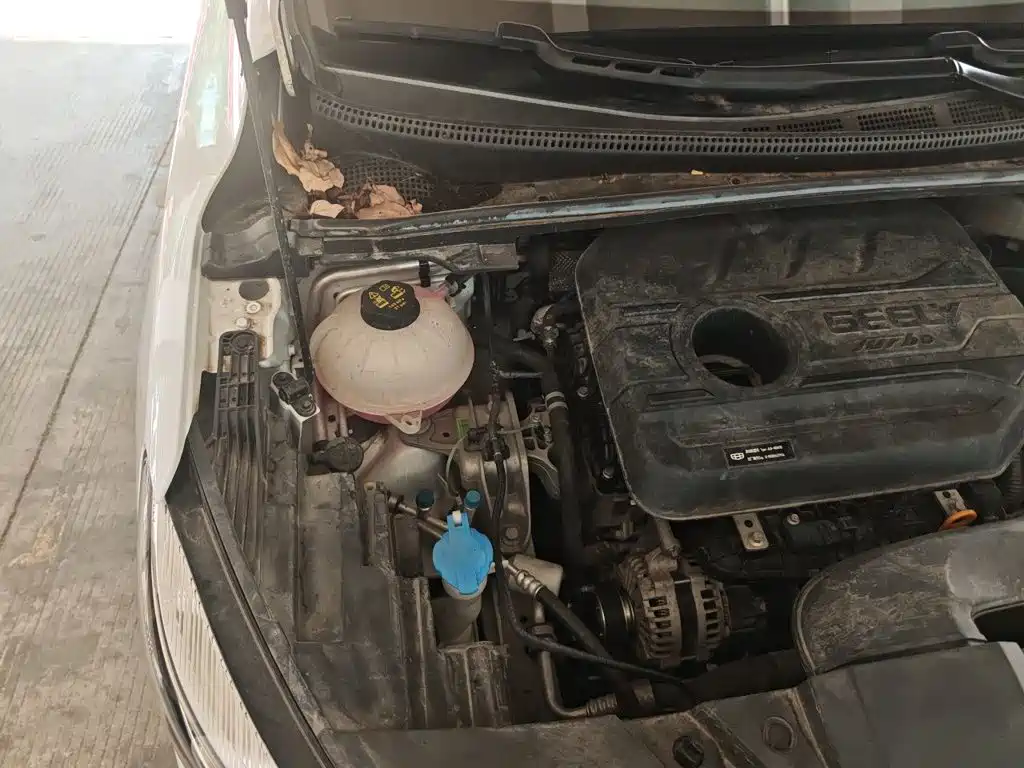 Geely Emgrand S — миниатюра 19