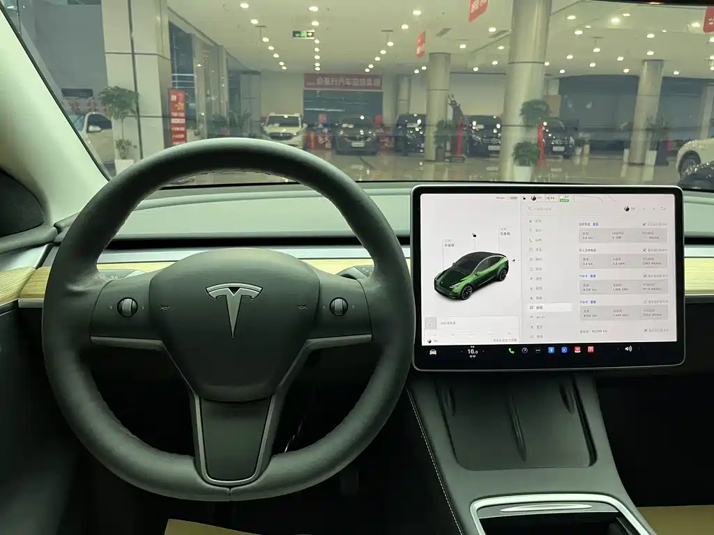 Tesla Model Y — миниатюра 19