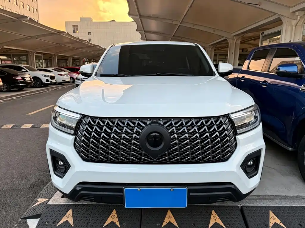 Great Wall Pao — миниатюра 2