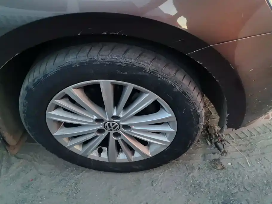 Volkswagen Gran Lavida — миниатюра 6