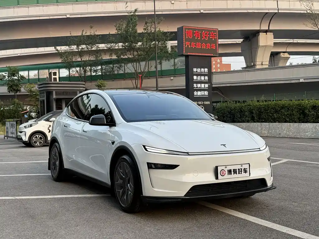 Tesla Model Y L — миниатюра 3