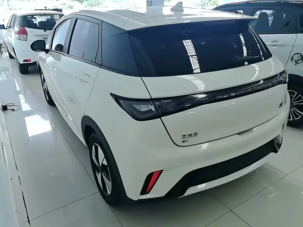 BYD Dolphin — миниатюра 5