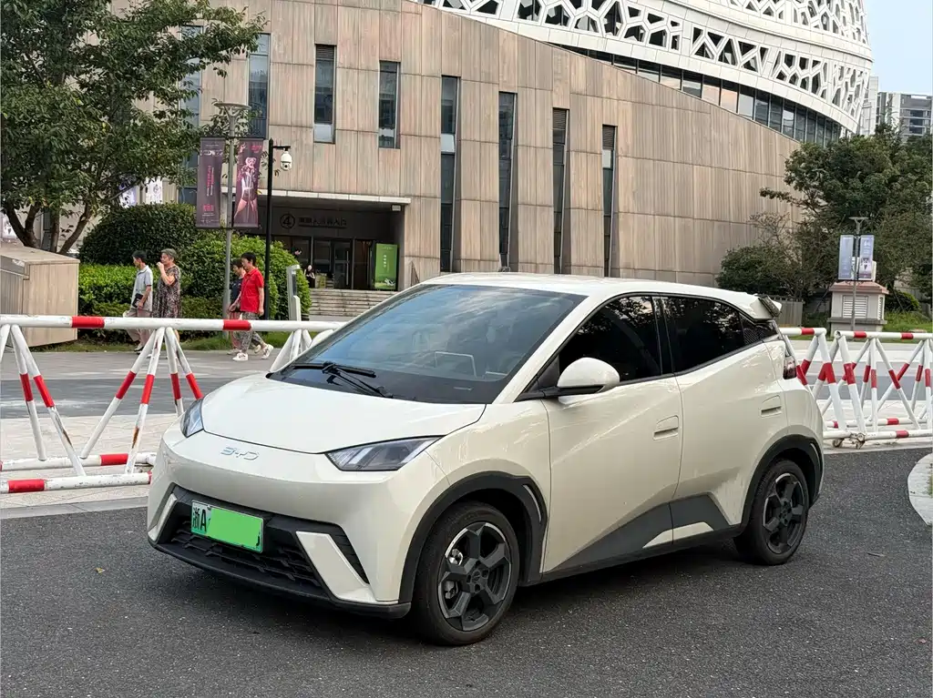 BYD Seagull