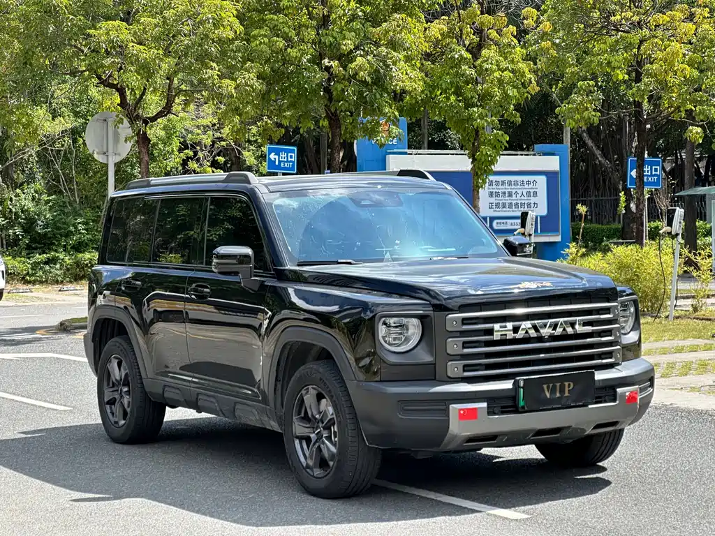 Haval Menglong New Energy — миниатюра 3