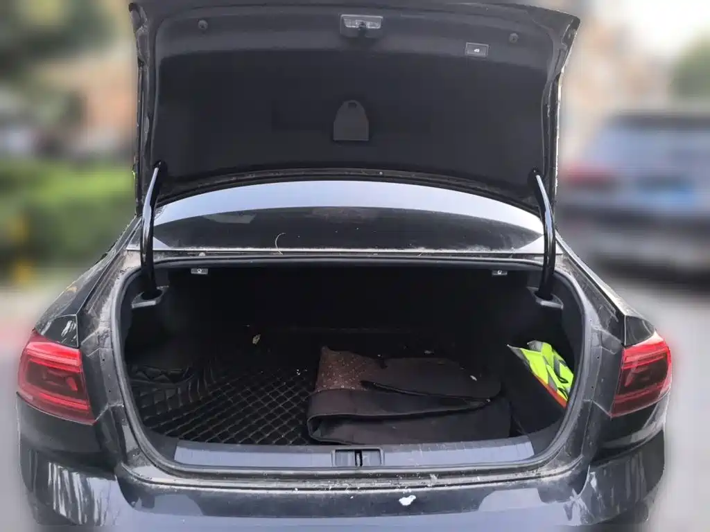 Volkswagen Magotan — миниатюра 10