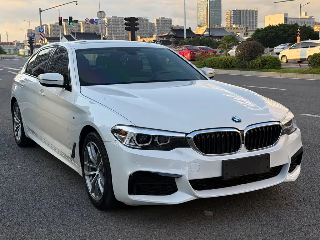 BMW 5 Series — миниатюра 3