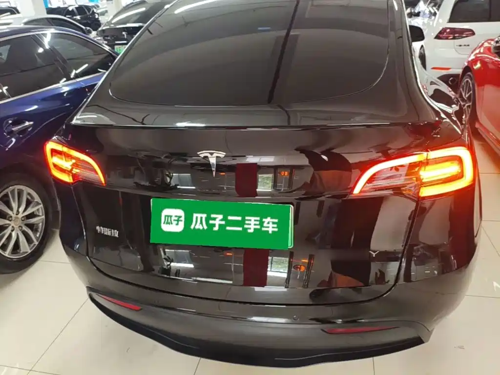 Tesla Model Y — миниатюра 6