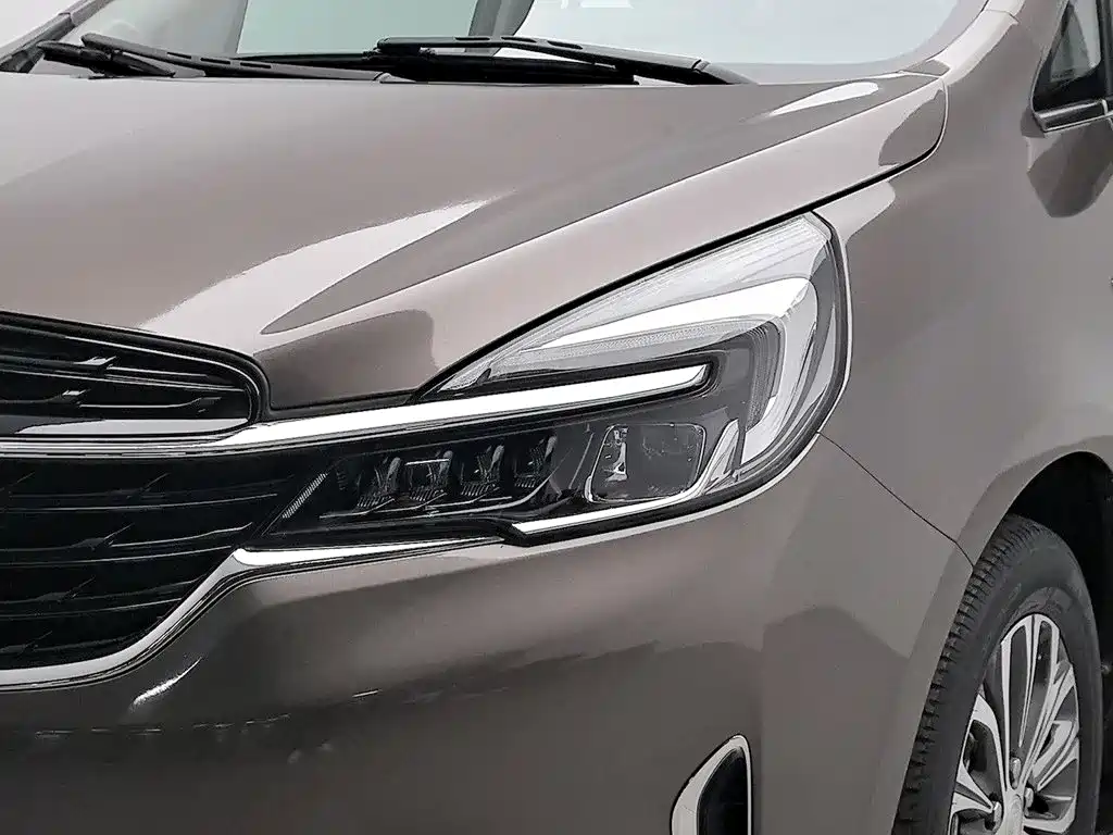 Buick GL8 — миниатюра 7