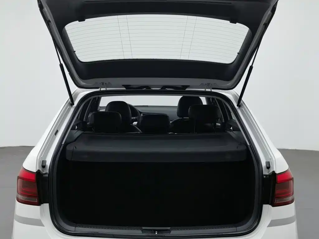 Volkswagen Gran Lavida — миниатюра 16