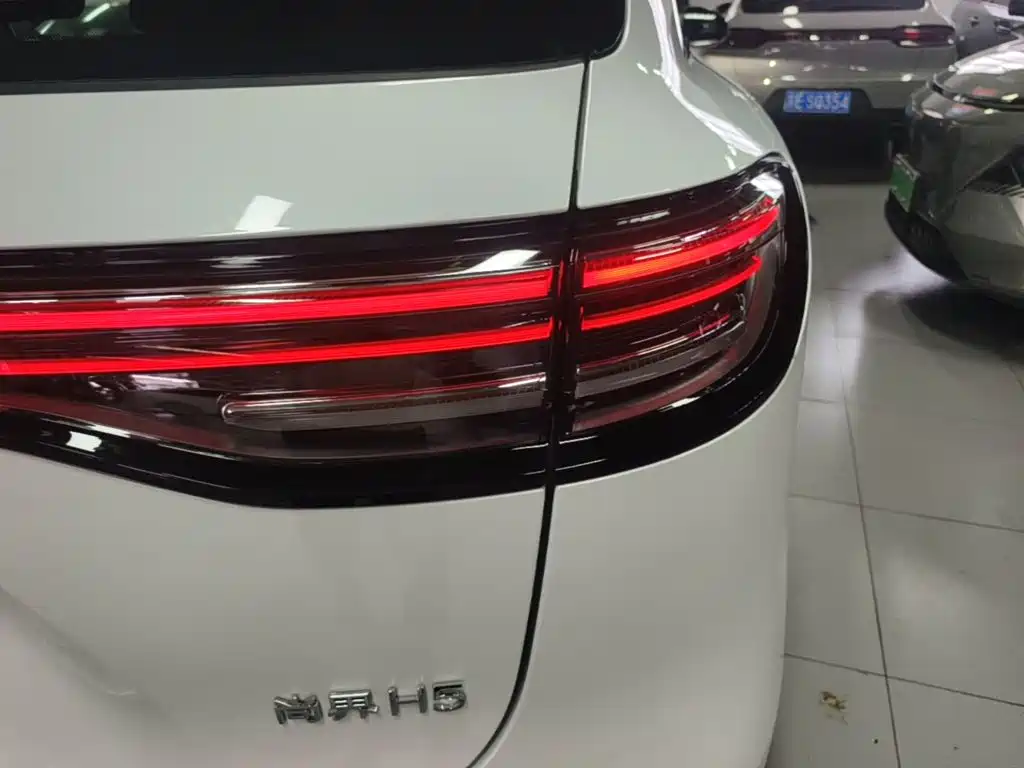 Сангтан Sangtang H5 — миниатюра 8