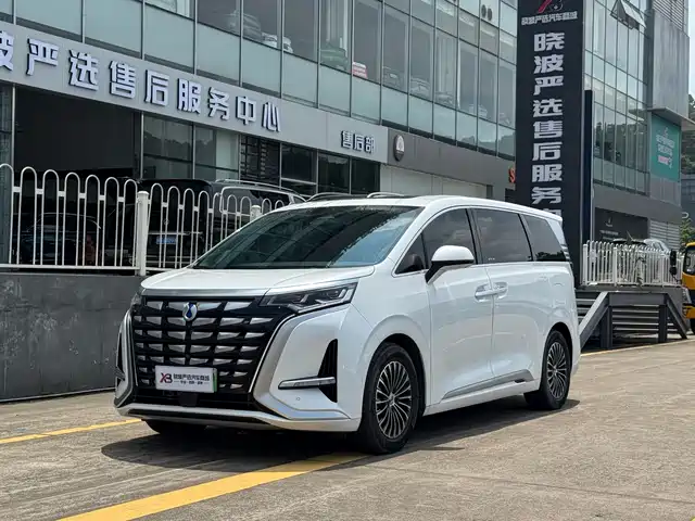 2023 Denza D9
