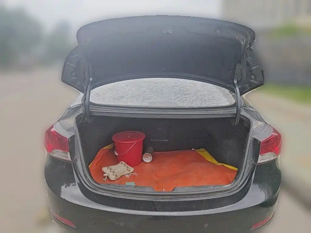 Hyundai Elantra Langdong — миниатюра 15