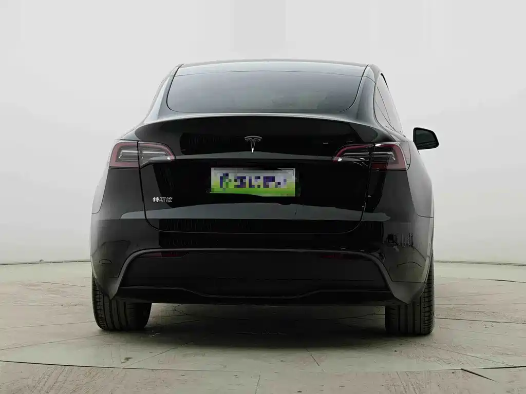 Tesla Model Y — миниатюра 7