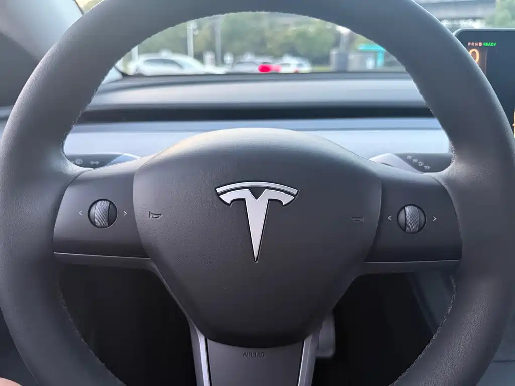 Tesla Model Y — миниатюра 12