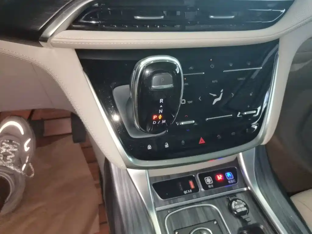 Buick GL8 — миниатюра 14