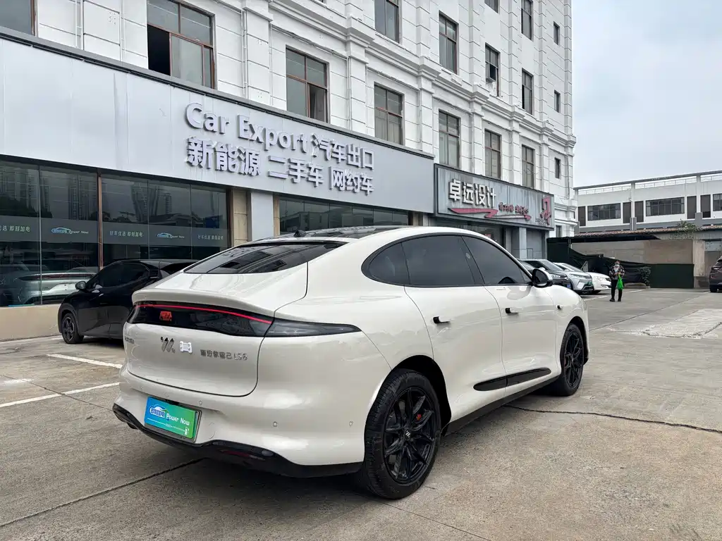 IM IM LS6 — миниатюра 5