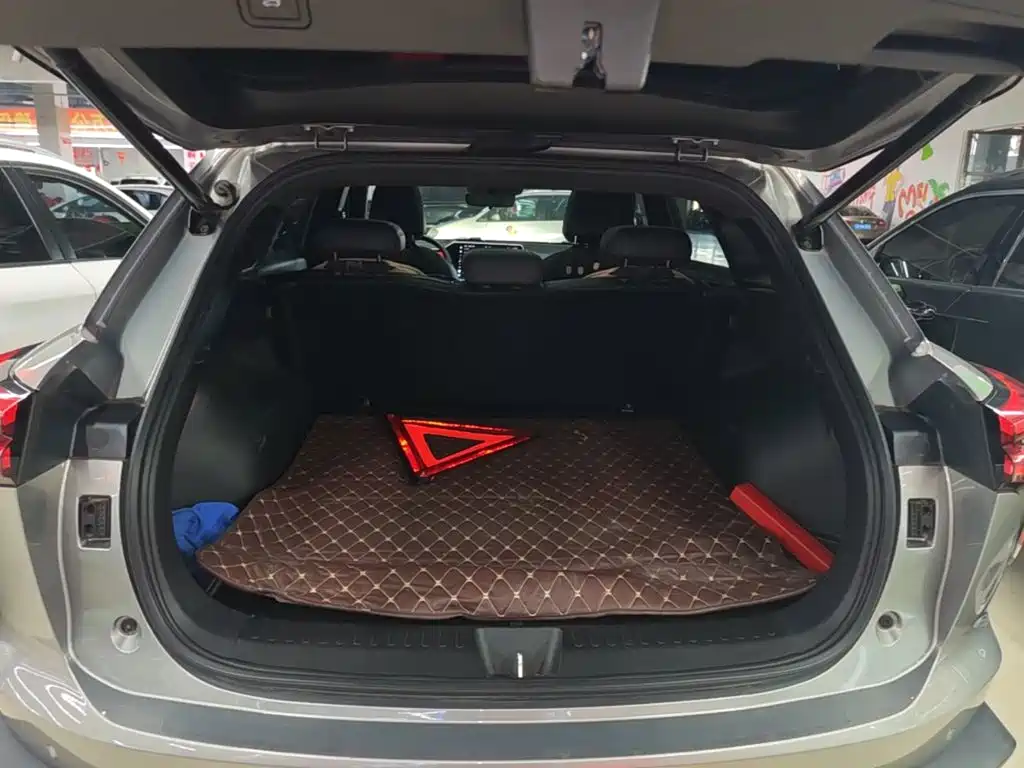 Haval Shenshou — миниатюра 19