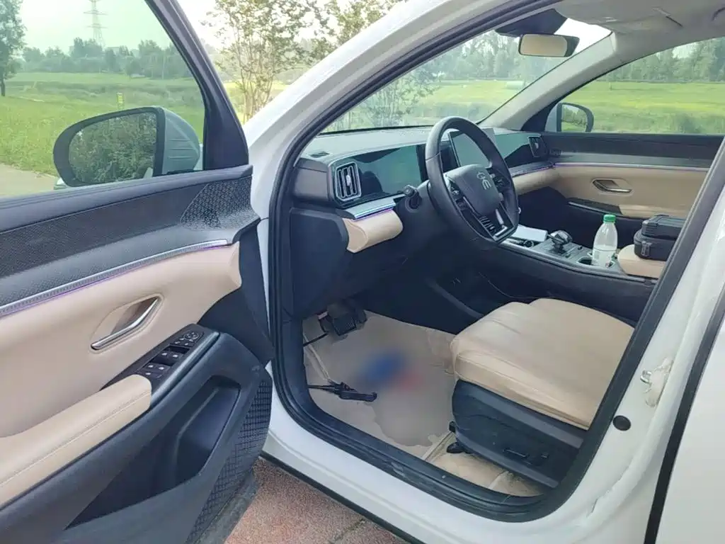 BYD Pro New Energy — миниатюра 16