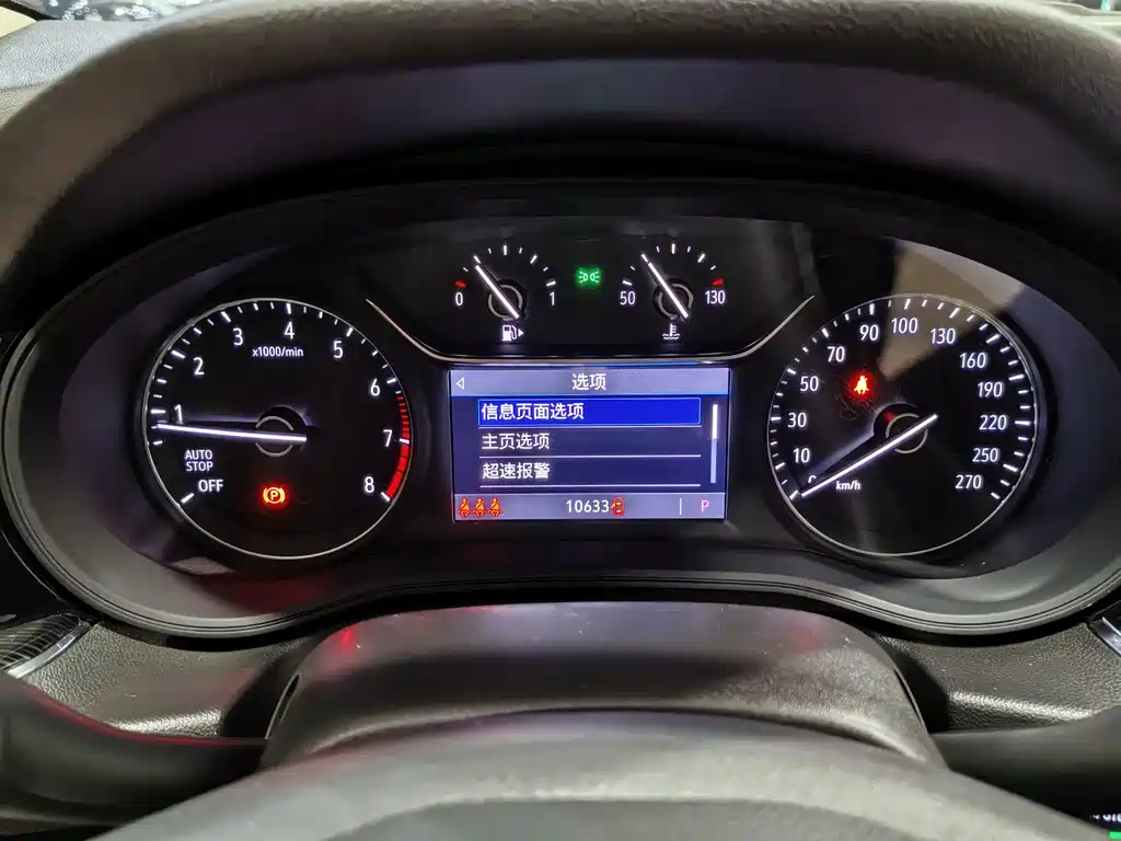 Buick Regal — миниатюра 12