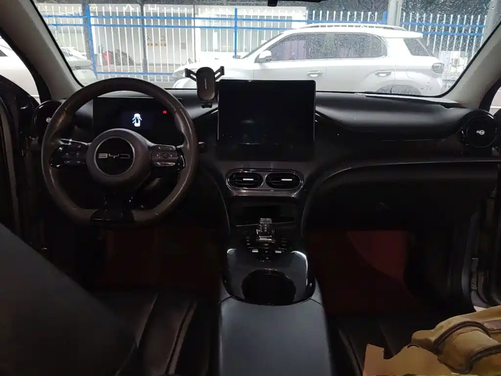 BYD e2 — миниатюра 10