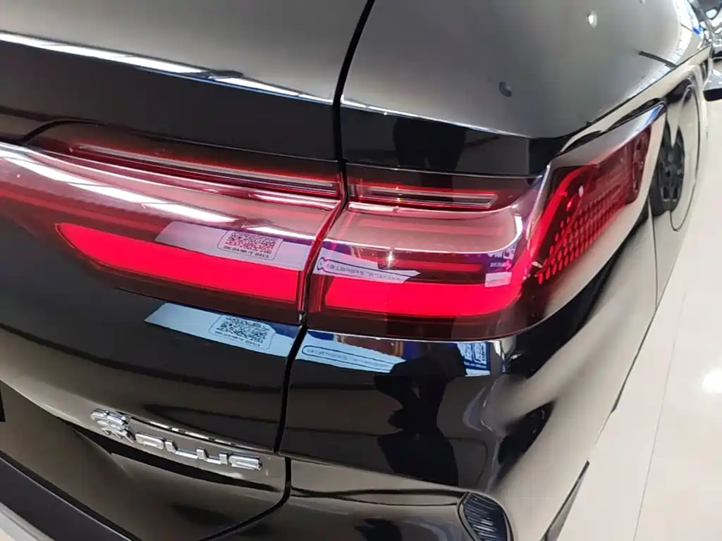 BYD PLUS New Energy — миниатюра 8