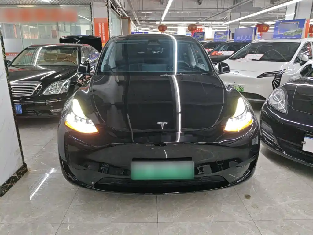 Tesla Model Y — миниатюра 3