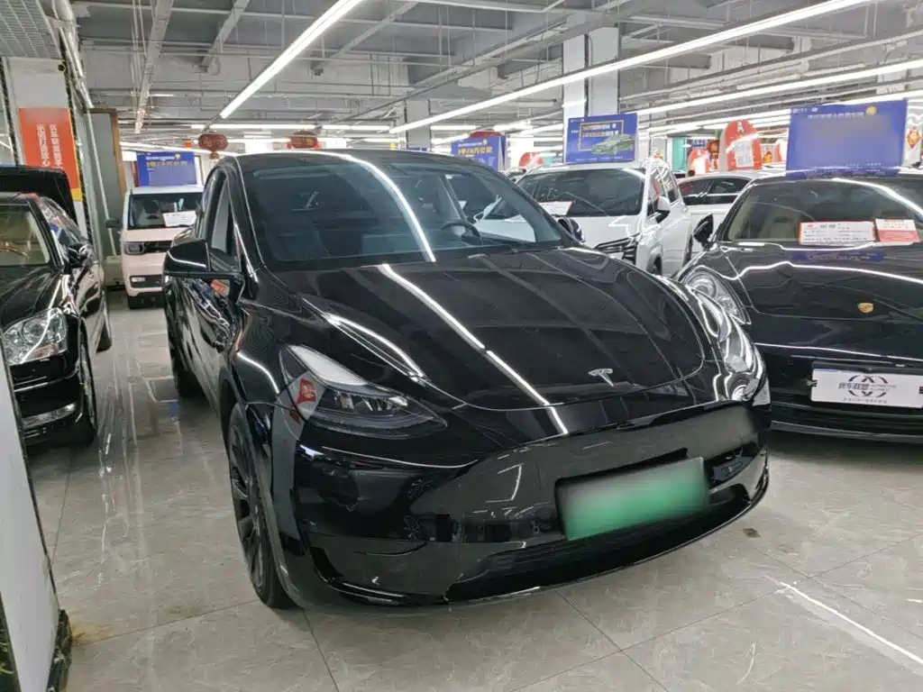 Tesla Model Y — миниатюра 4
