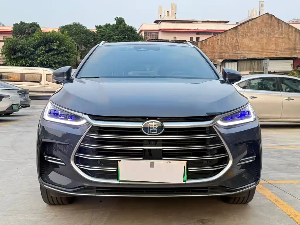 BYD Tang New Energy — миниатюра 2