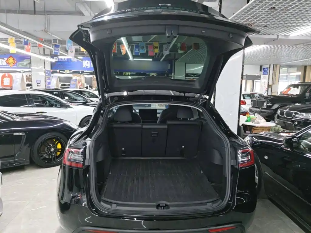 Tesla Model Y — миниатюра 19